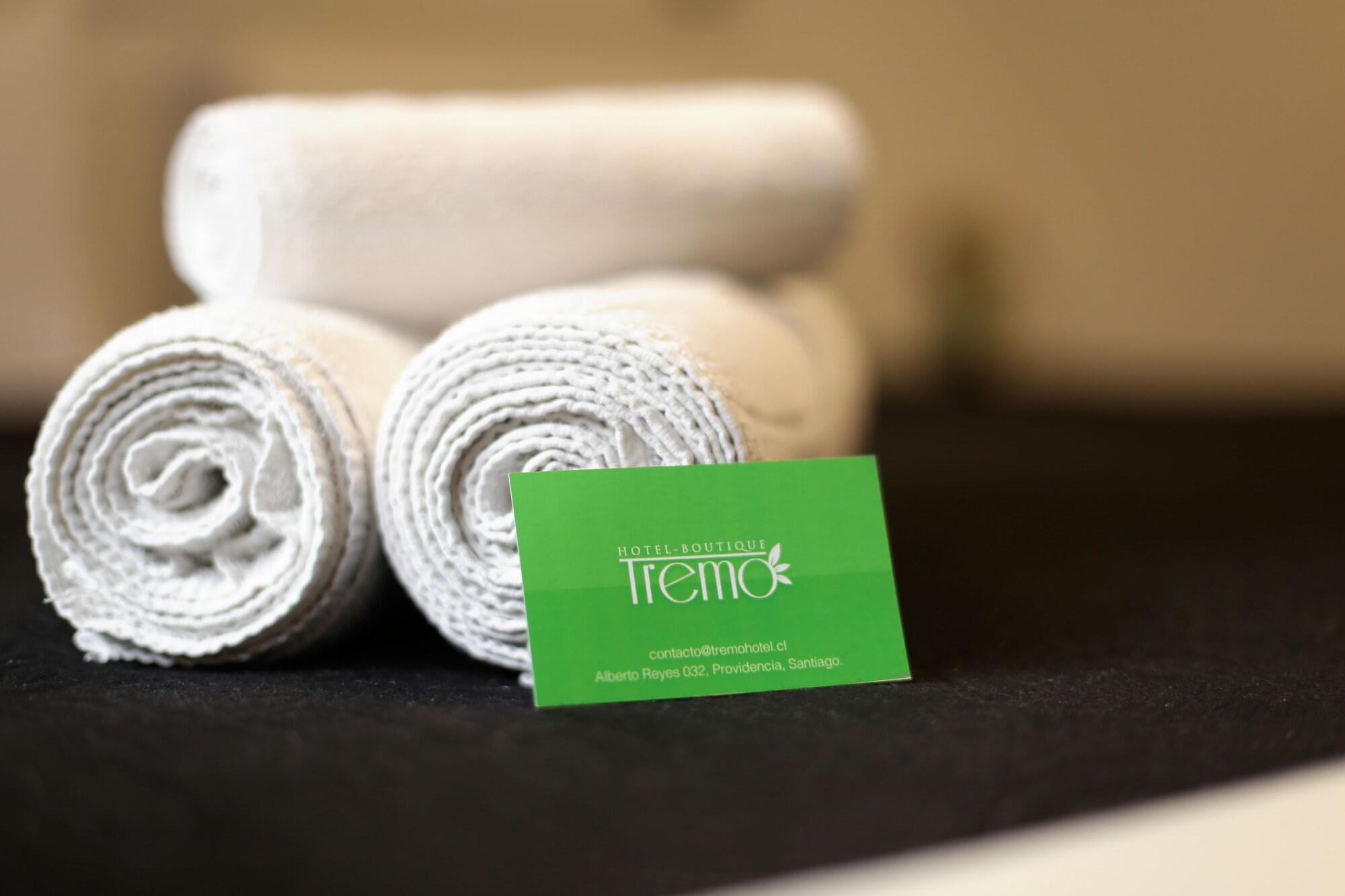 סנטיאגו Hotel Boutique Tremo Bustamante מראה חיצוני תמונה
